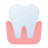 tooth-gum